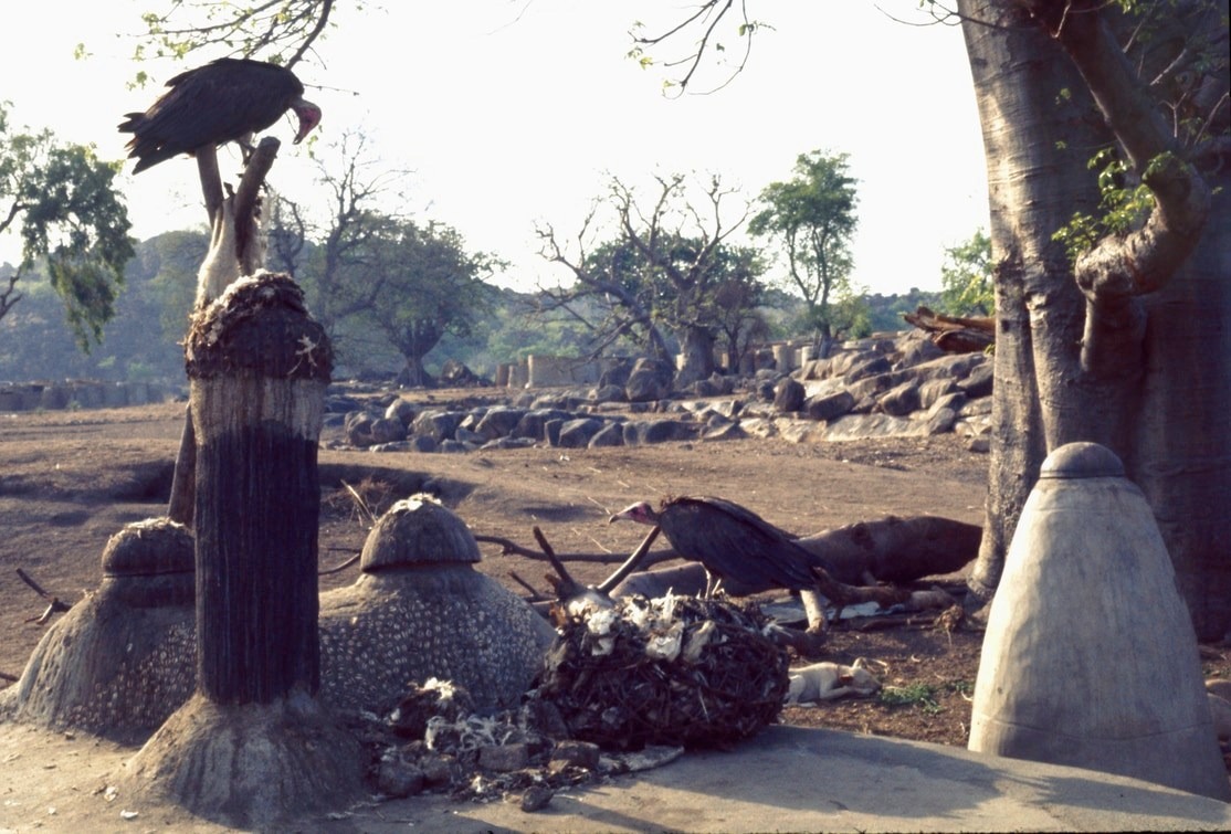 Sacrifices on an ancestor shrine outside a house